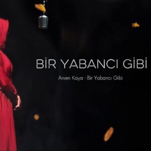 دانلود آهنگ بیر یابانجی گیبی از آرون کایا