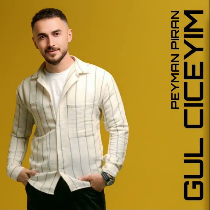 دانلود آهنگ گول چیچییم از پیمان پیران دانلود آهنگ گول چیچییم از پیمان پیران