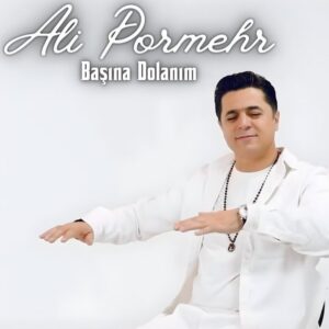 دانلود آهنگ باشینا دولانیم از علی پرمهر