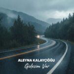 دانلود آهنگ گیدسیم وار از آلینا کالایجی اوغلو