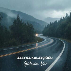 دانلود آهنگ گیدسیم وار از آلینا کالایجی اوغلو